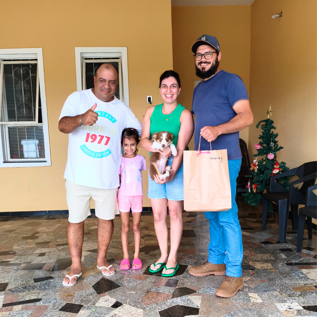 FAMILIA COM SEU BORDER COLLIE MARROM