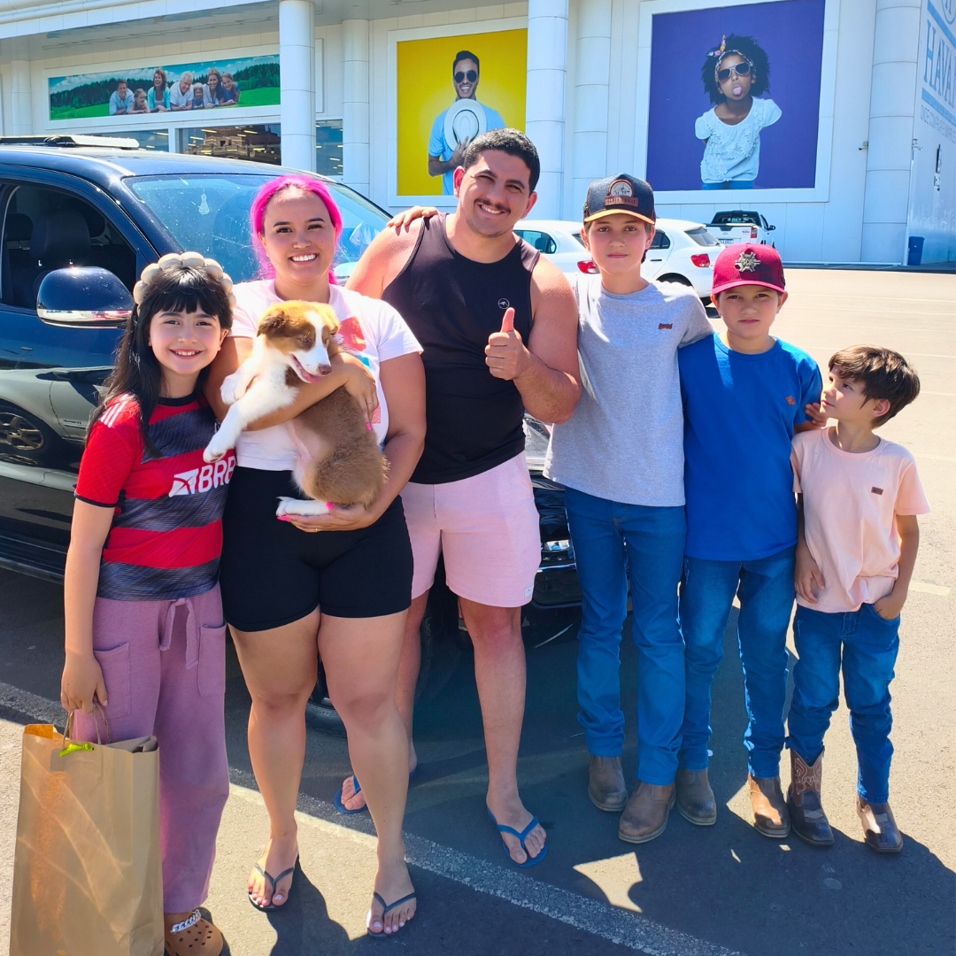 FAMILIA RECEBENDO UM FILHOTE DE BORDER COLLIE