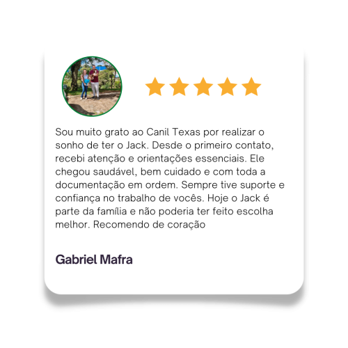 depoimentos de tutores que compraram filhotes no rancho texas dog CAIO Gabriel Mafra