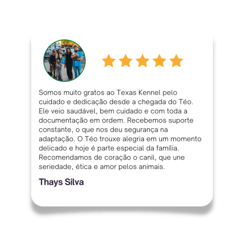depoimentos de tutores que compraram filhotes no rancho texas dog CAIO Thays
